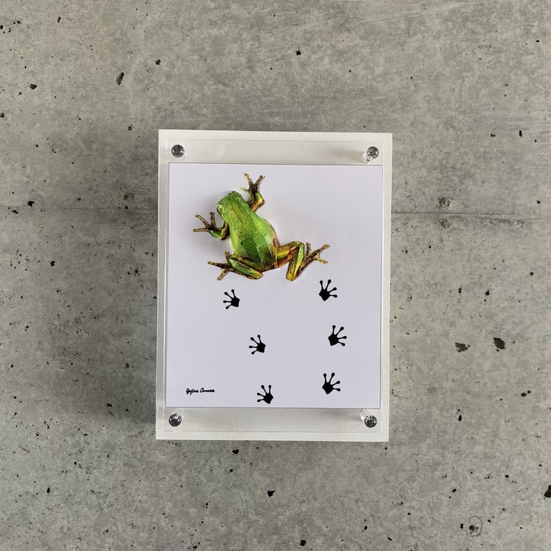 大村洋二朗 アマガエルは足跡を残す | ギャラリー兼井