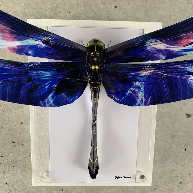 幸せの青い蜻蛉の羽根のART、長寿、亀アート35cm 大村洋二朗 煌めくトンボは羽を広げる | ギャラリー兼井