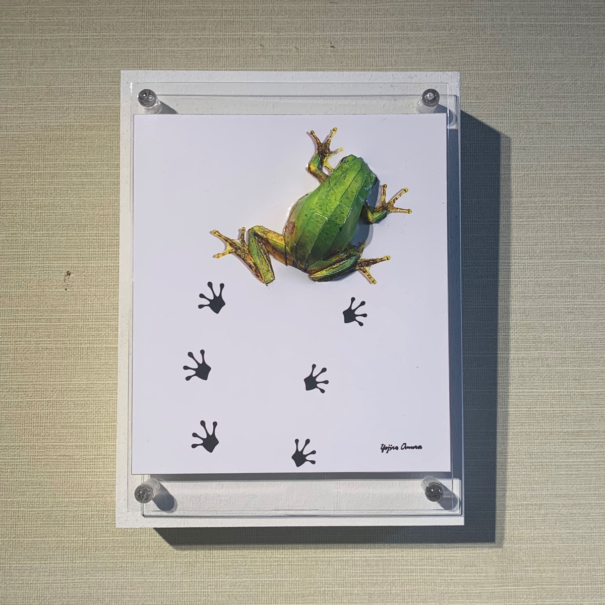 大村洋二朗 アマガエルは足跡を残す | ギャラリー兼井