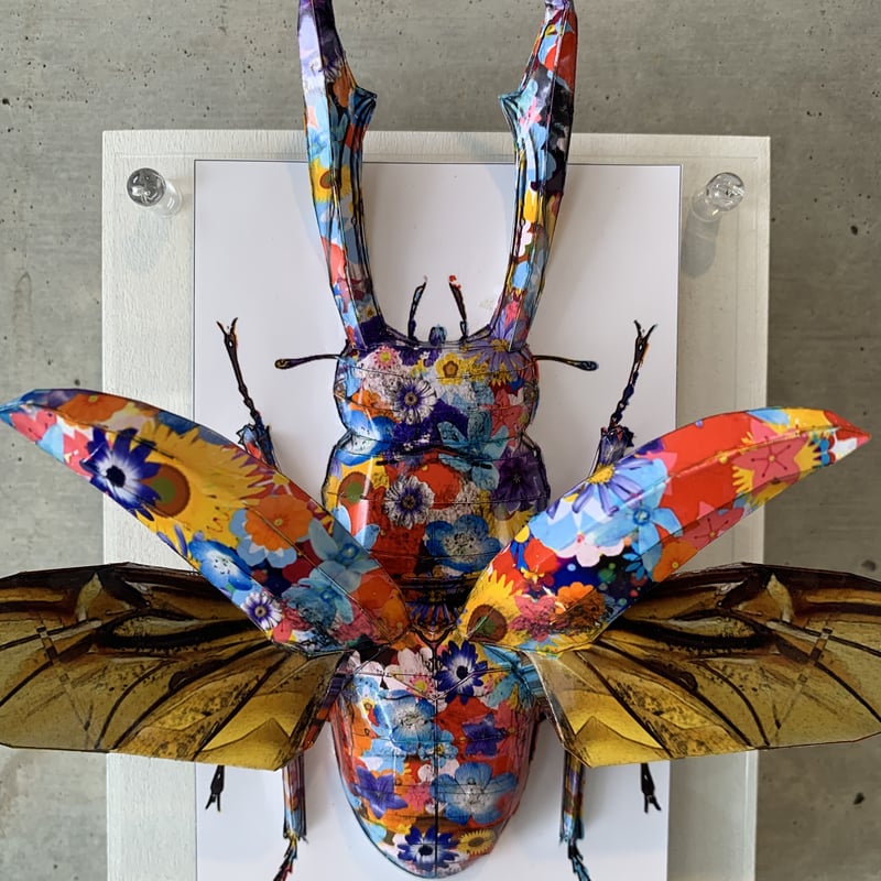 大村洋二朗 花柄クワガタは羽を広げる | ギャラリー兼井