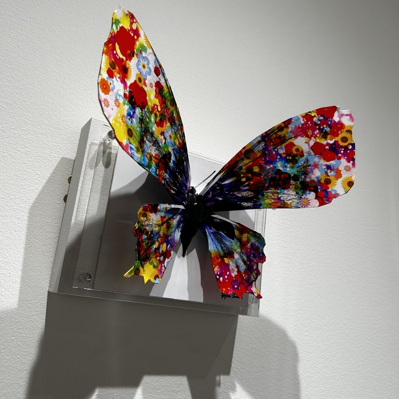 大村洋二朗 花柄テントウムシが部屋に迷い込む 大村洋二朗 花柄テントウムシが部屋に迷い込む 大村洋二朗 花柄