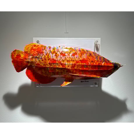 大村洋二朗 花柄テントウムシが部屋に迷い込む 花柄テントウムシが部屋に迷い込む ED:21/30 | 大村洋二朗