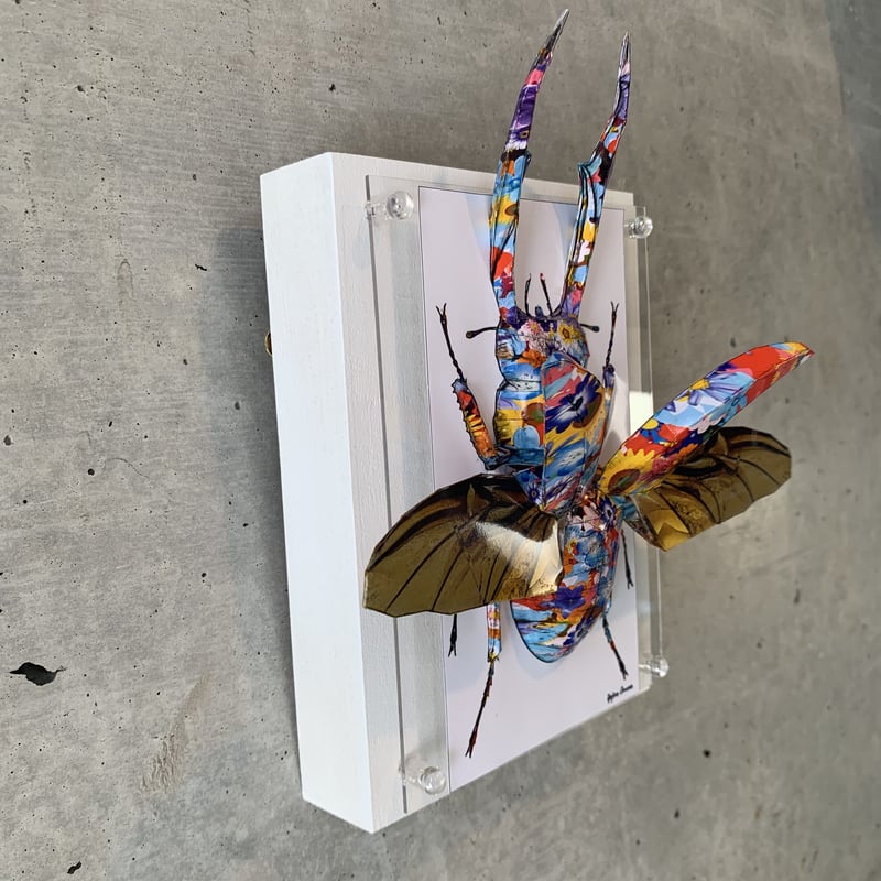 大村洋二朗 花柄テントウムシが部屋に迷い込む 大村洋二朗 花柄テントウムシが部屋に迷い込む 花柄テントウムシが部屋