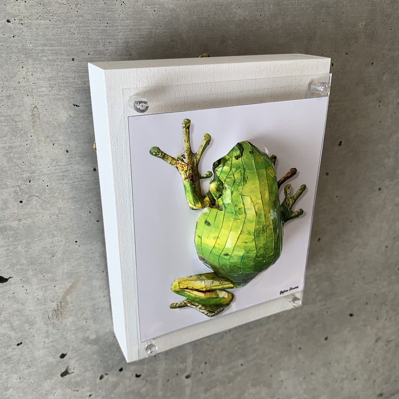 大村洋二朗 花柄カエルは壁に張り付く 花柄カエルは壁に張り付く