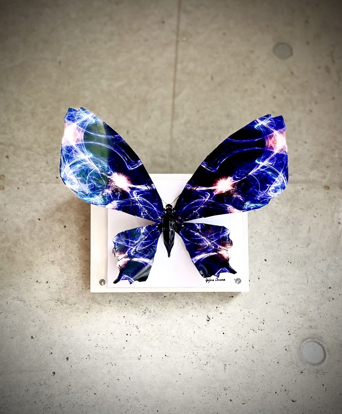 大村洋二朗 瞬く蝶は羽を広げる | ギャラリー兼井