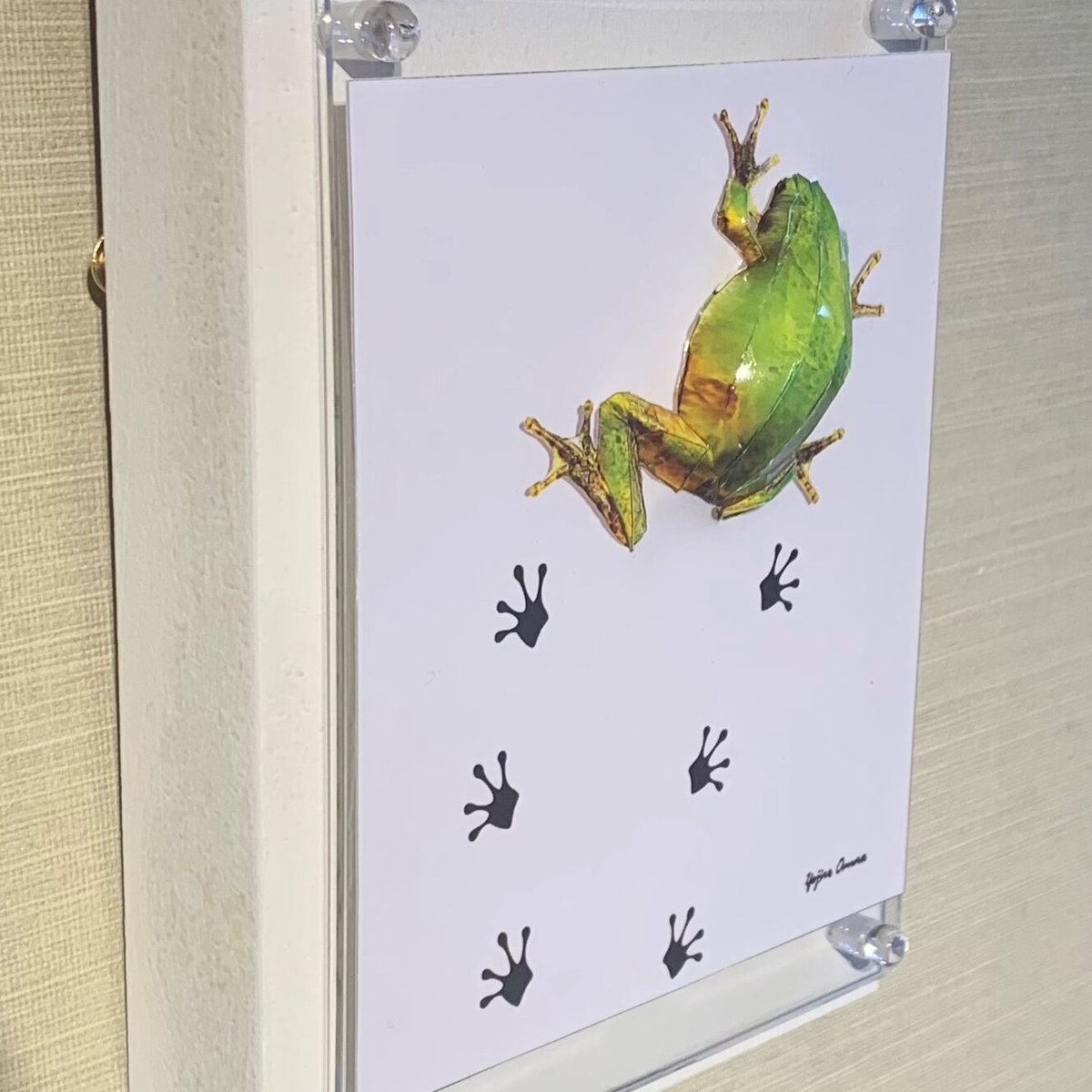 クリスタルアート アマガエル クリスタルアート アマガエル326 アートパネル 51x51cm 写真