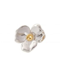 【Sea'ds Mara】　ご予約 Invisible bloom Brooch