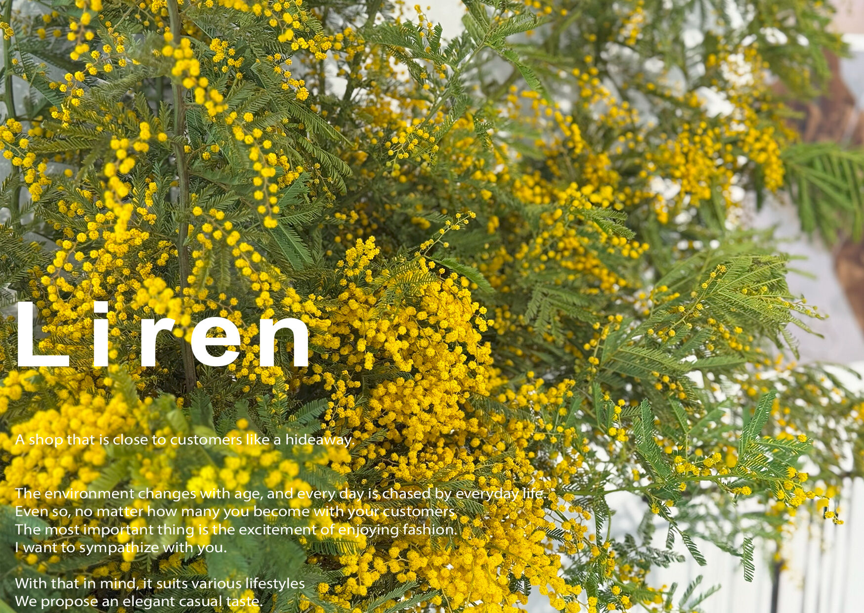 CLOCHE/CYNICAL】 December exhibition ご予約スタート | CLOCHE/CYNICAL】 December exhibition ご予約スタート |
