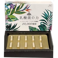 乳酸菌含有食品　衣非江 乳酸菌の力 ｅｐｉｅｒ ＦＬＯＲＡ ＣＯＬＬＥＣＴＩＯＮ ２００００億個 ２５０㎎かける６０粒　健康補助食品