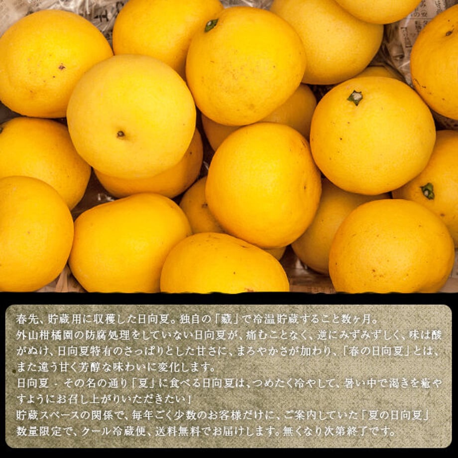 6278c2227d11613780b85091