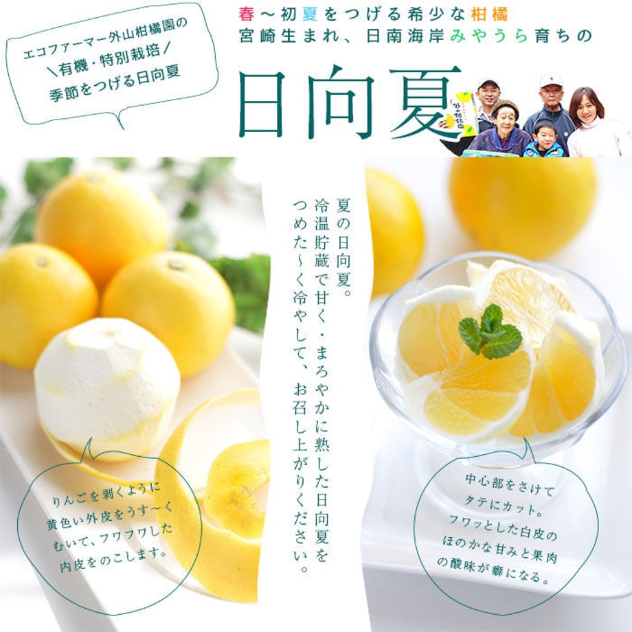6278c2227d11613780b85091