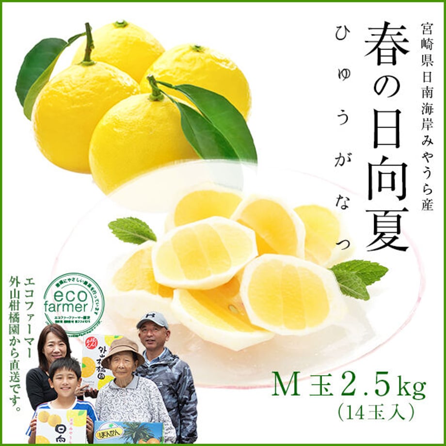 620463d0e3bbd139e069eb00