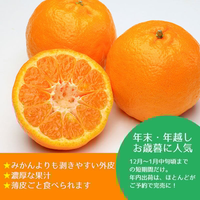 みやうらポンカン 5kg 24玉(LL)【予約 12/10～順次発送】 | 外山柑橘園