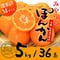 みやうらポンカン 5kg 36玉(M)【予約 12/10~順次発送】