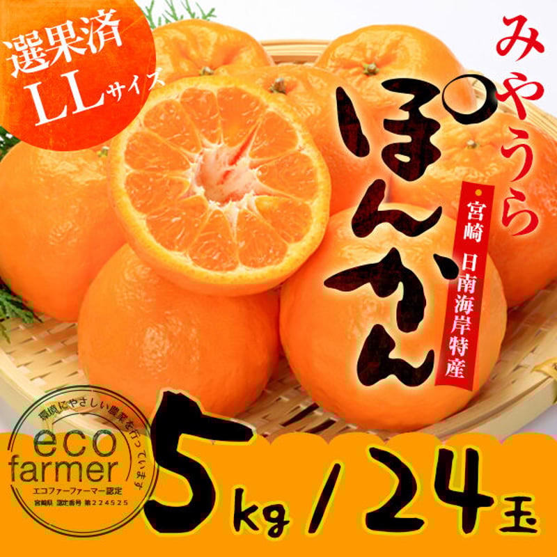 みやうらポンカン 5kg 24玉(LL)【予約 12/10～順次発送】 | 外山柑橘園