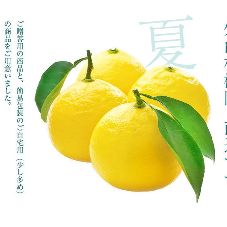 6278c2227d11613780b85091
