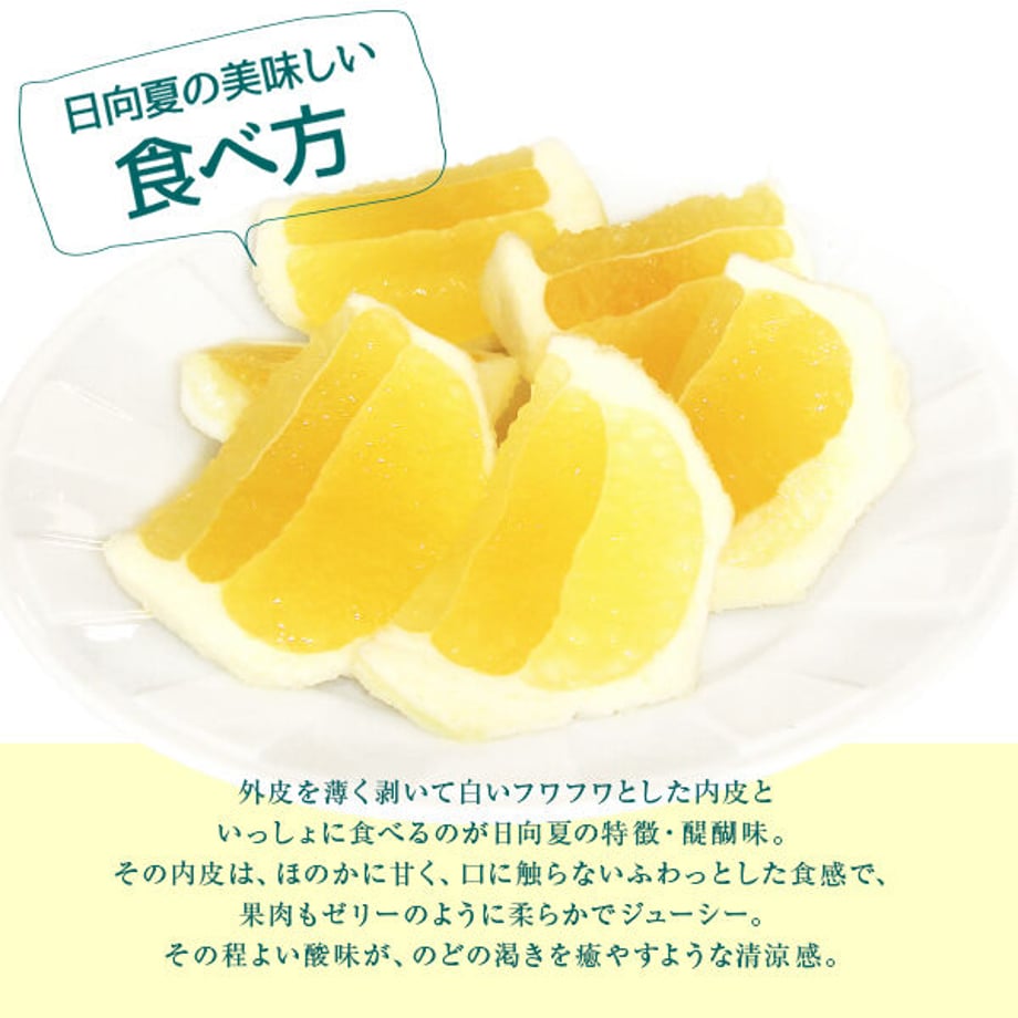 620463d0e3bbd139e069eb00