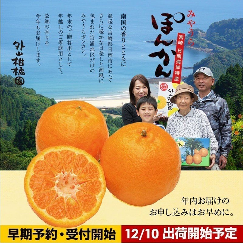 みやうらポンカン 5kg 24玉(LL)【予約 12/10～順次発送】 | 外山柑橘園