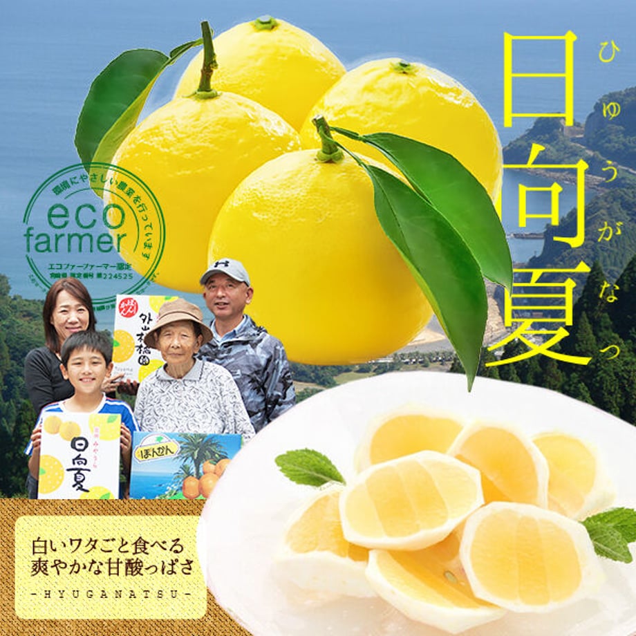 620463d0e3bbd139e069eb00