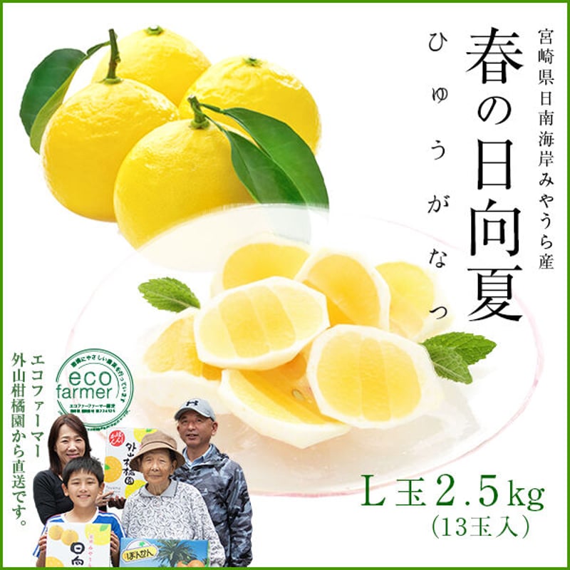 真夏の太陽を浴びて　檸檬　PR+ bayk8435_4.jpg