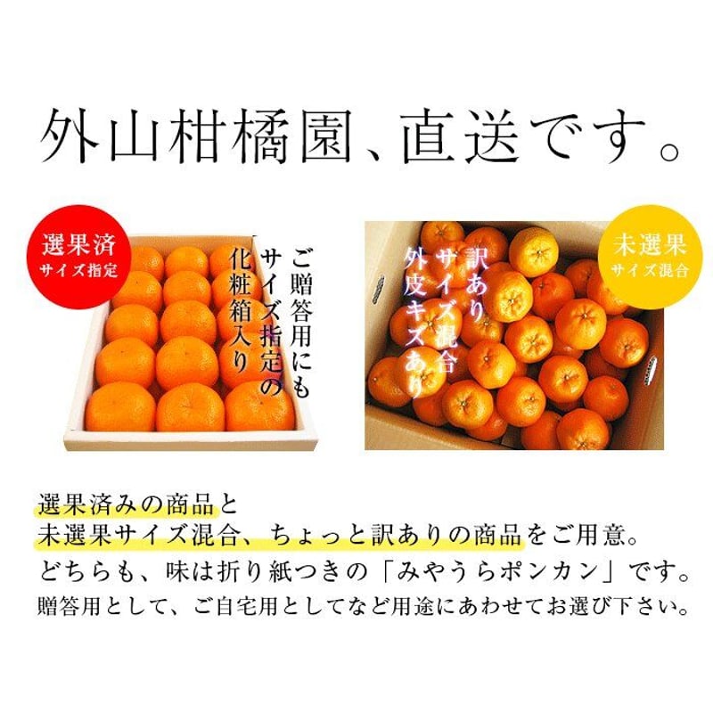 みやうらポンカン 5kg 24玉(LL)【予約 12/10～順次発送】 | 外山柑橘園