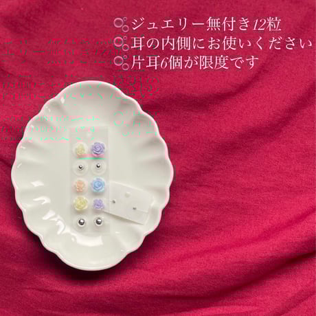 [No.6] 耳ツボジュエリー チタン チタン無しも可