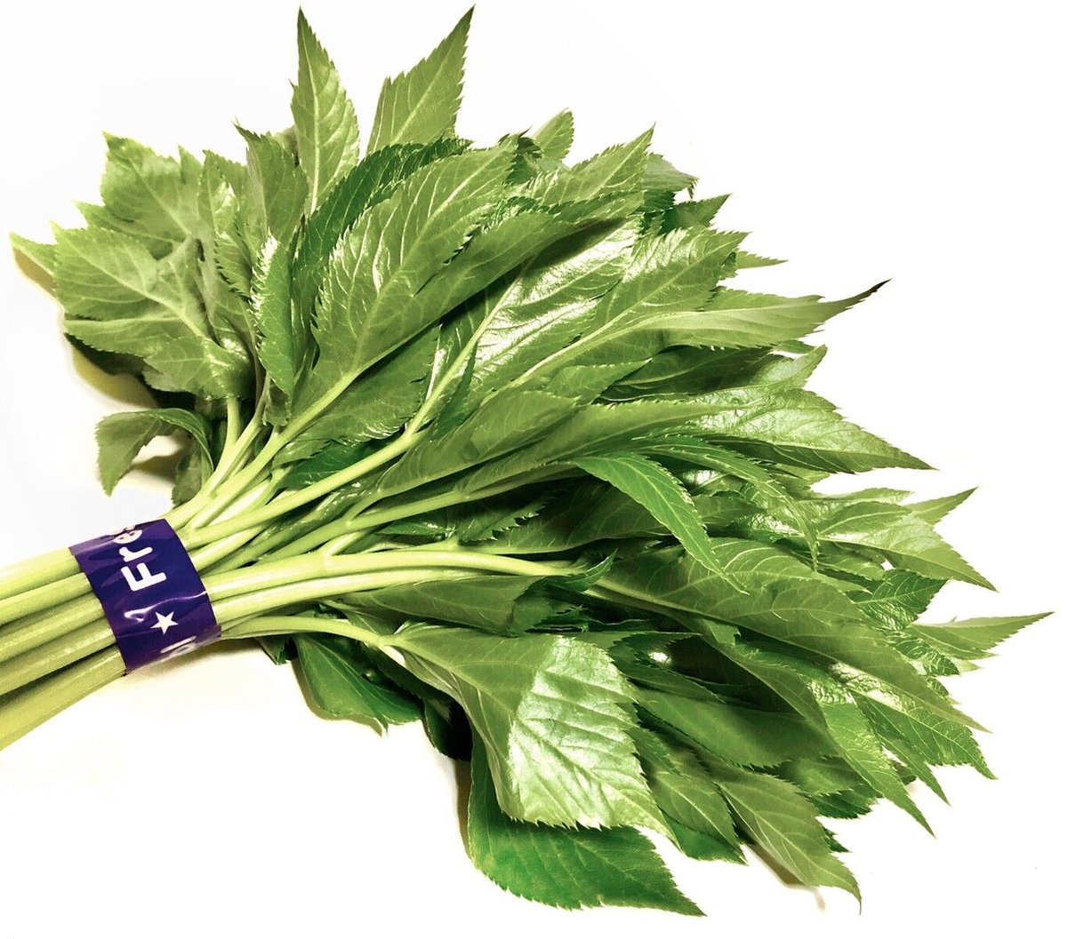 明日葉 1束 (200g) | カルディアファーム