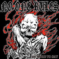 NO ONE RULES - NO MORE TO SAY - CD