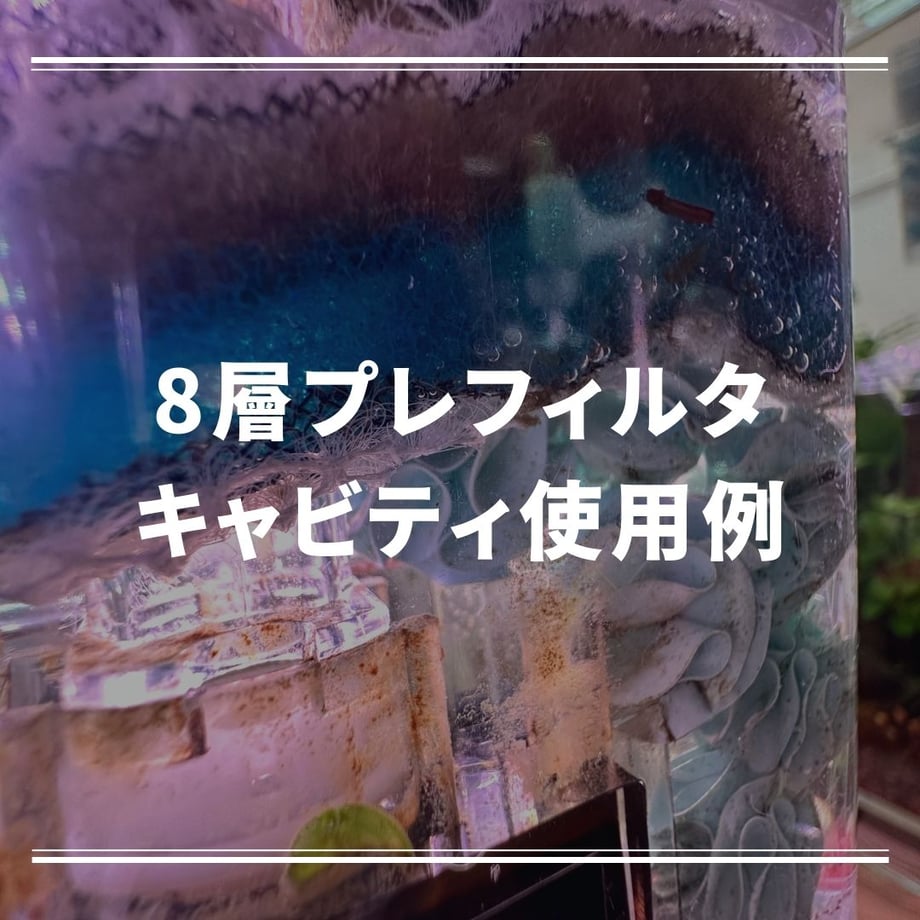 65f67a85e47f10138664ce7b