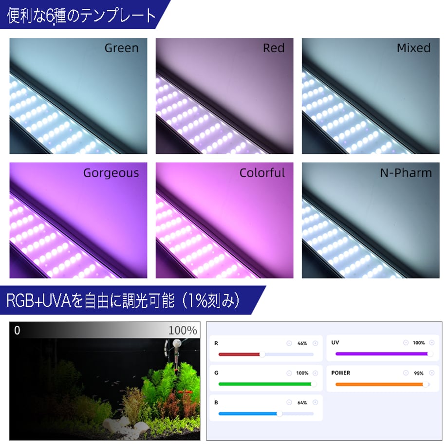 62af1bc4288b80445343db86