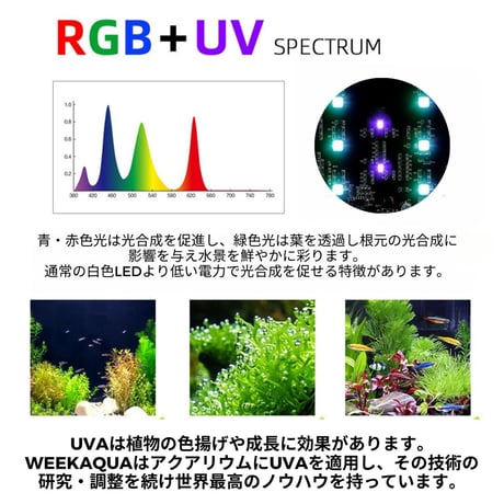 NEW AQUA FLARE UVA MINI 9 RGB（小型水槽用）