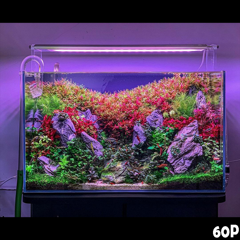 水槽用コーラル模型 ピンク 紫　中型 水槽用コーラル模型 ピンク 紫 中型