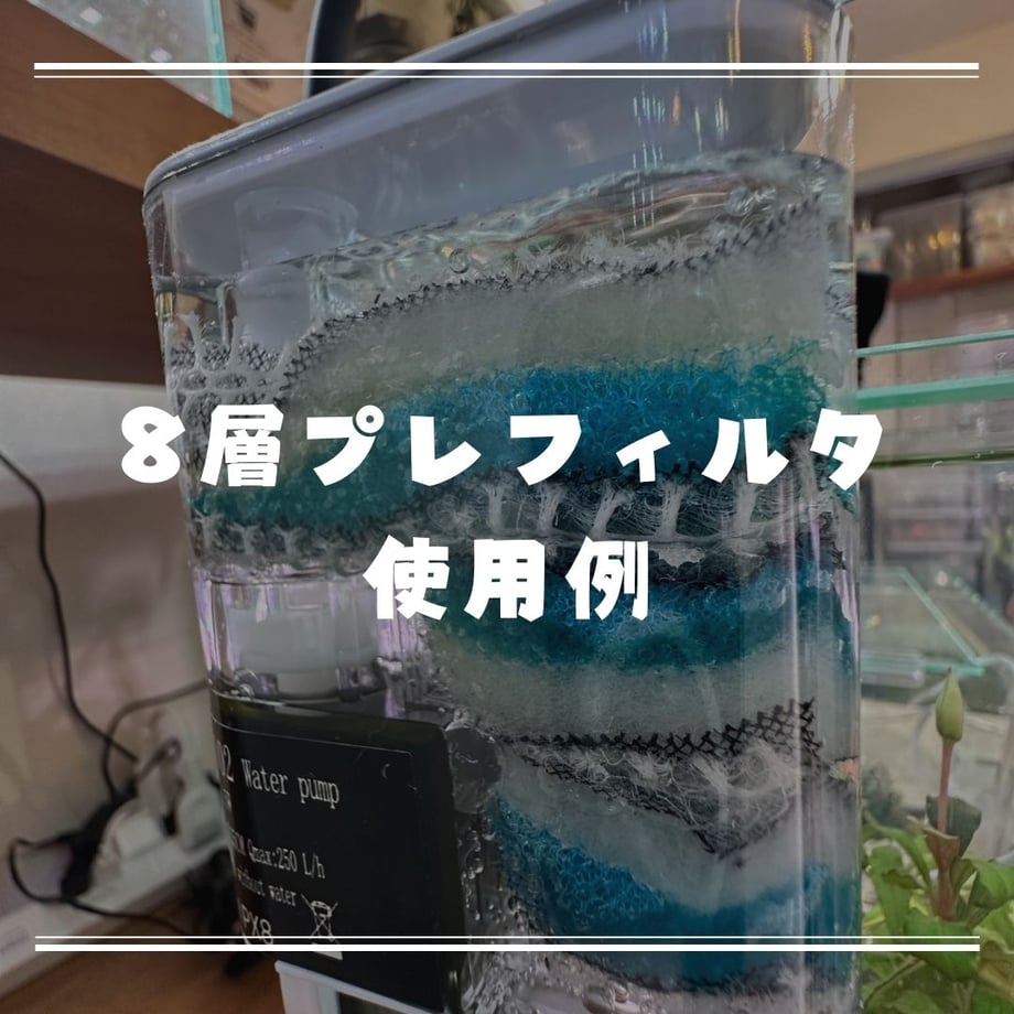 65f67a85e47f10138664ce7b