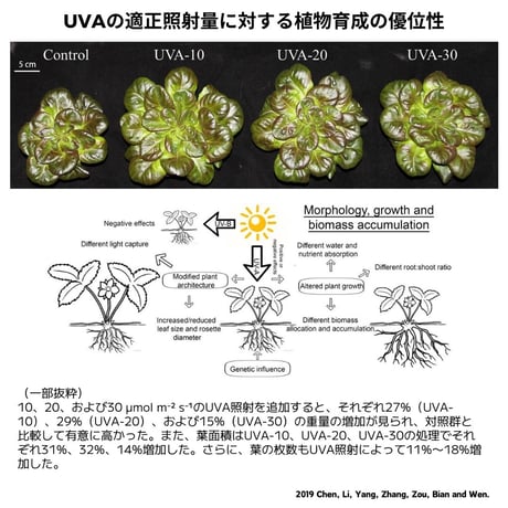 NEW AQUA FLARE UVA L600/L900/L1200 RGB TH