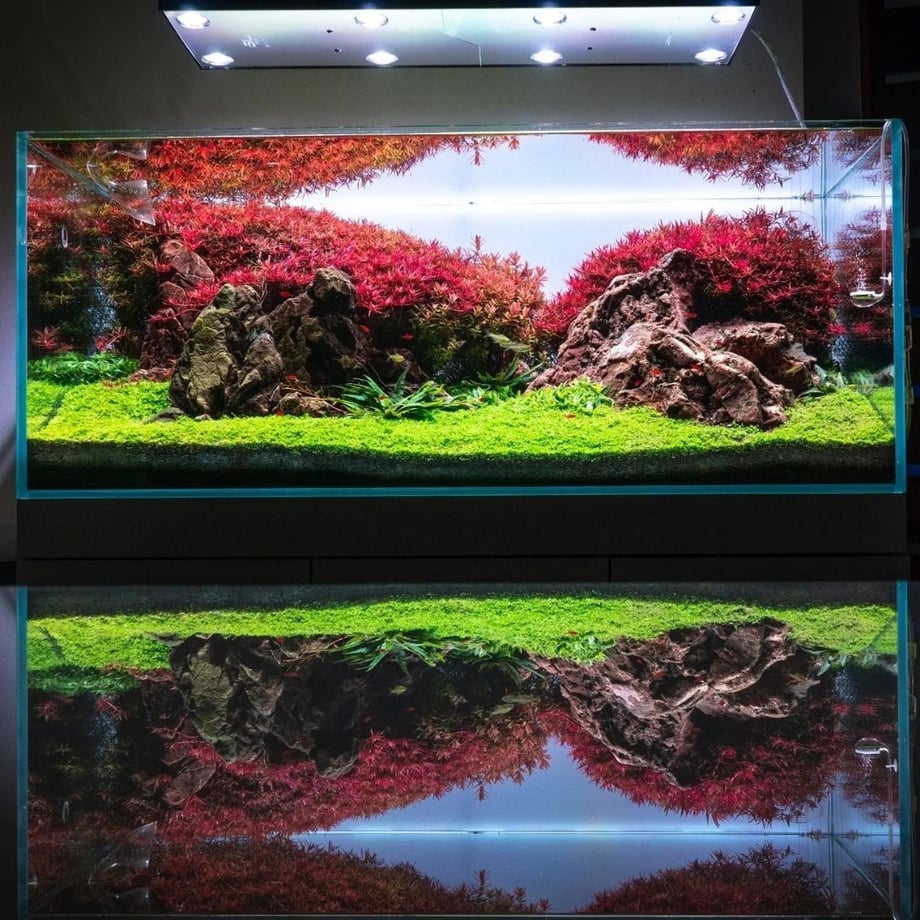 66fd051cff407e0235fcbb81
