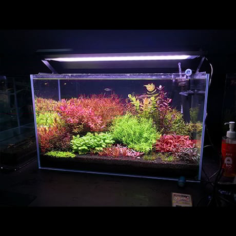 NEW AQUA FLARE UVA P900 RGB