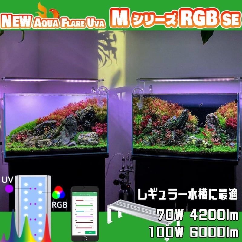 90センチアクリル水槽、90センチ蛍光灯