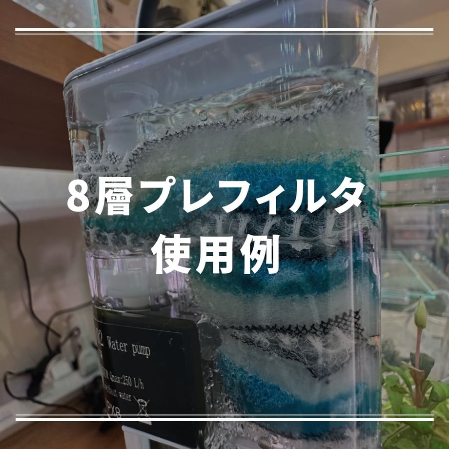 65f67a85e47f10138664ce7b