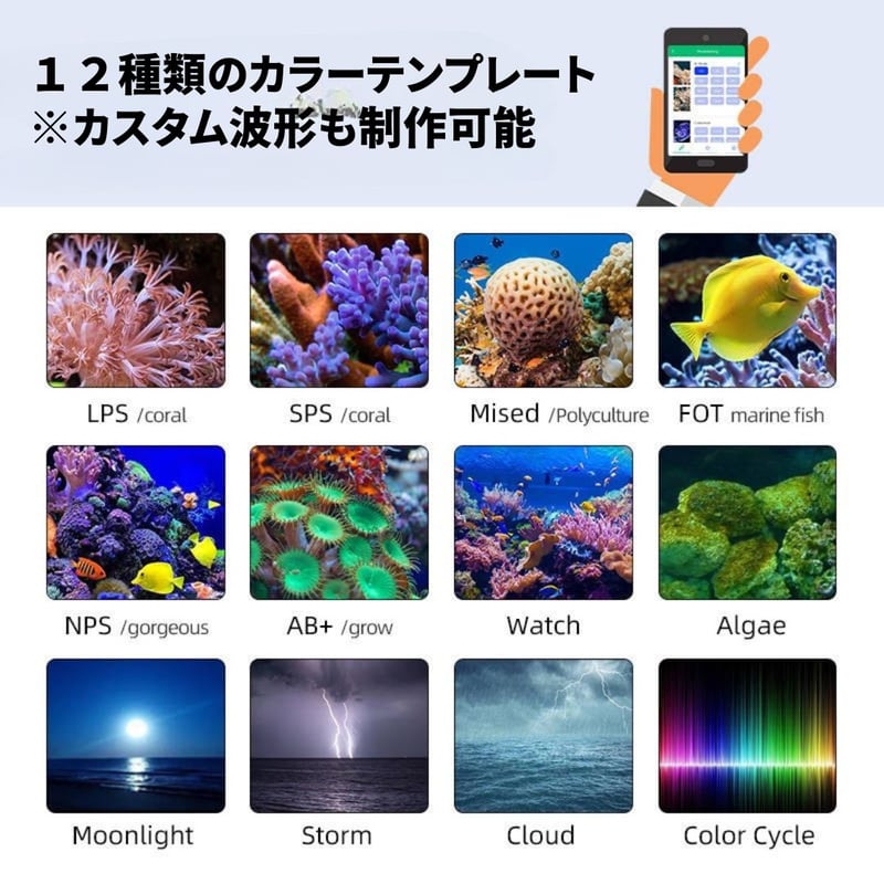 海水水槽LED サンゴ育成 ハードコーラル SPS/LPS ソフトコーラル