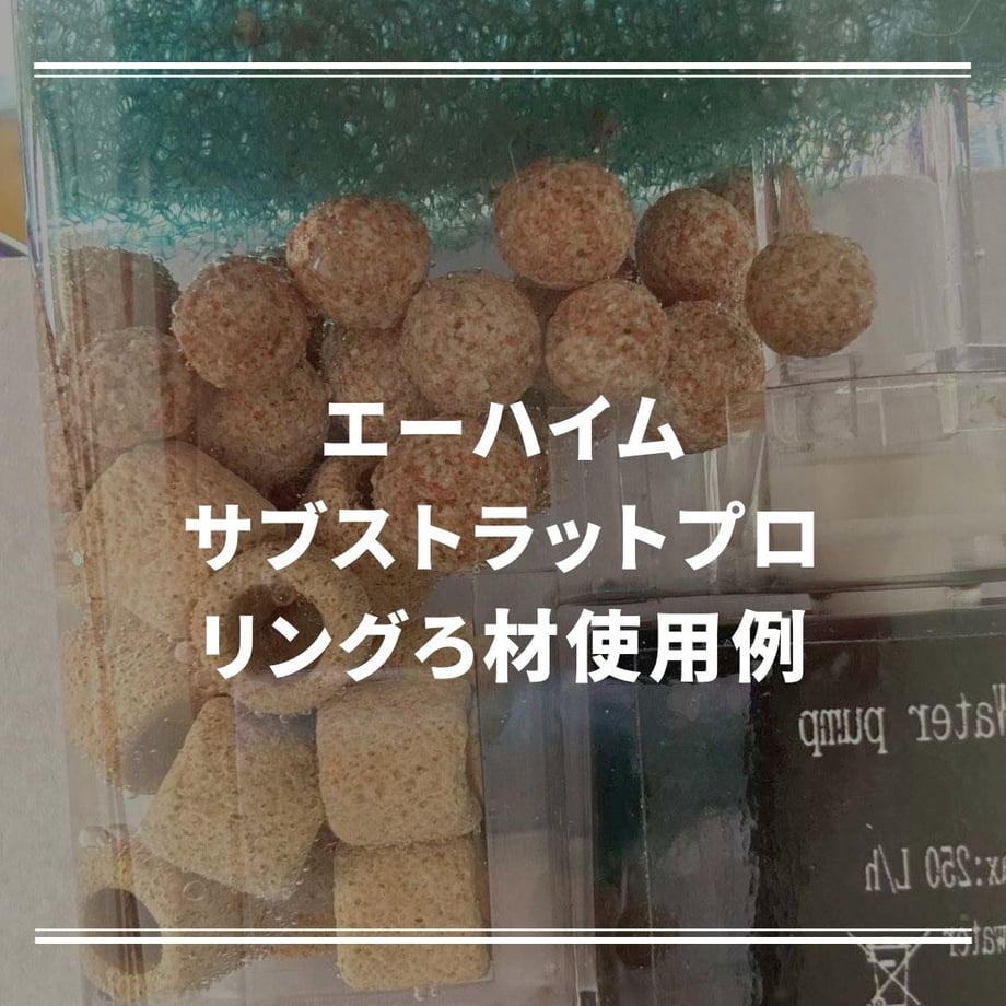 65f67a85e47f10138664ce7b