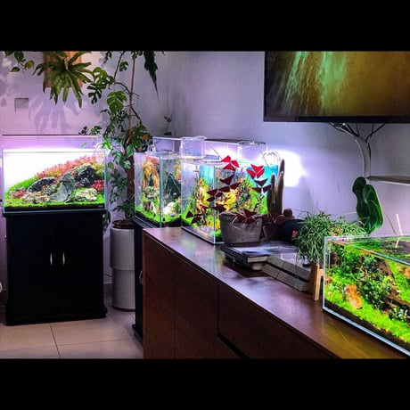 NEW AQUA FLARE UVA M900 RGB（旧版）