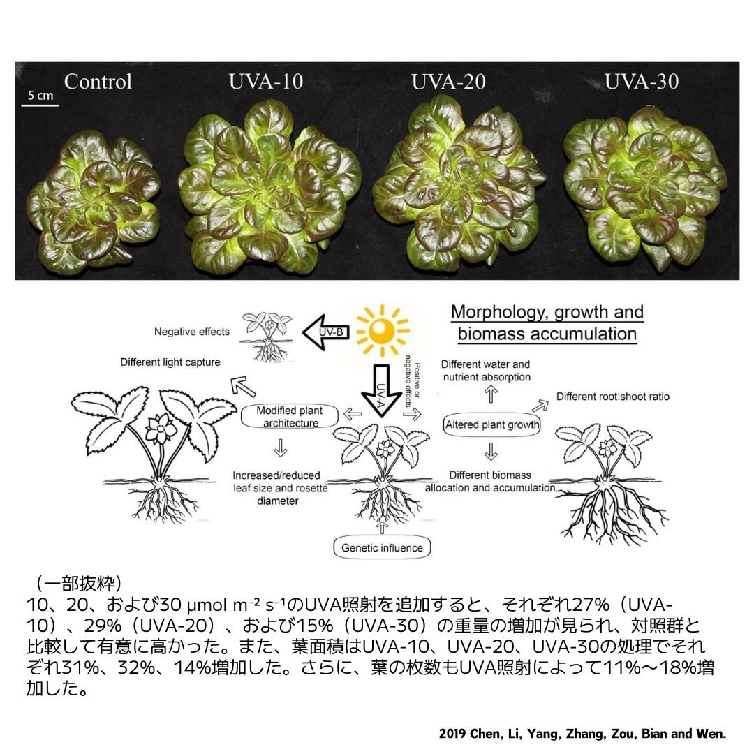 NEW AQUA FLARE UVA P600 RGB SE | アクアリウム LEDライト専 NEW AQUA FLARE UVA P600 RGB SE | アクアリウム LEDライト専