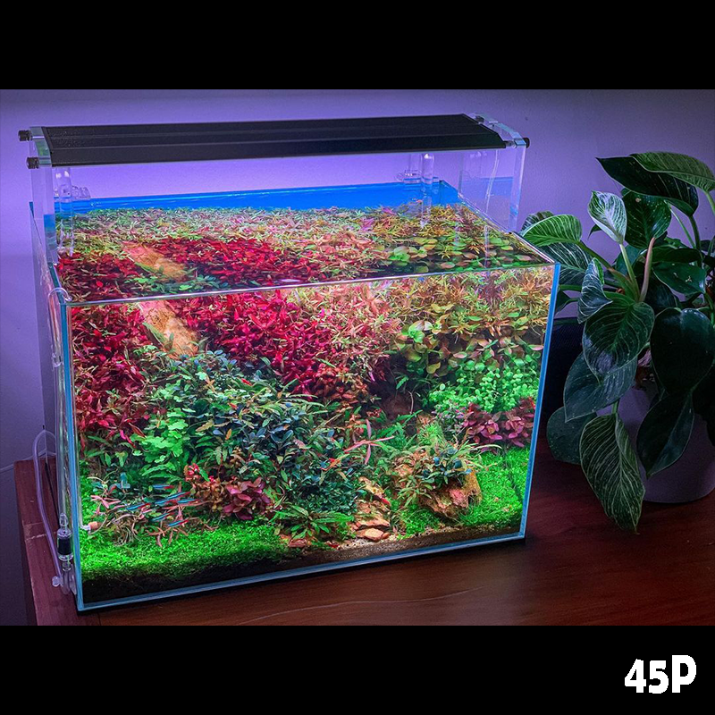 水槽用RGBライトカプラアクアM900RGB LED