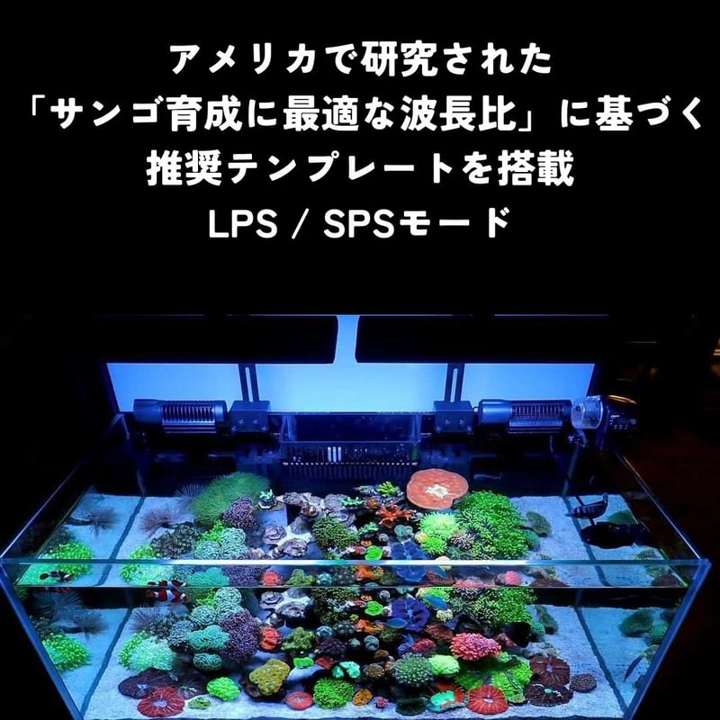 海水水槽LED サンゴ育成 ハードコーラル SPS/LPS ソフトコーラル 