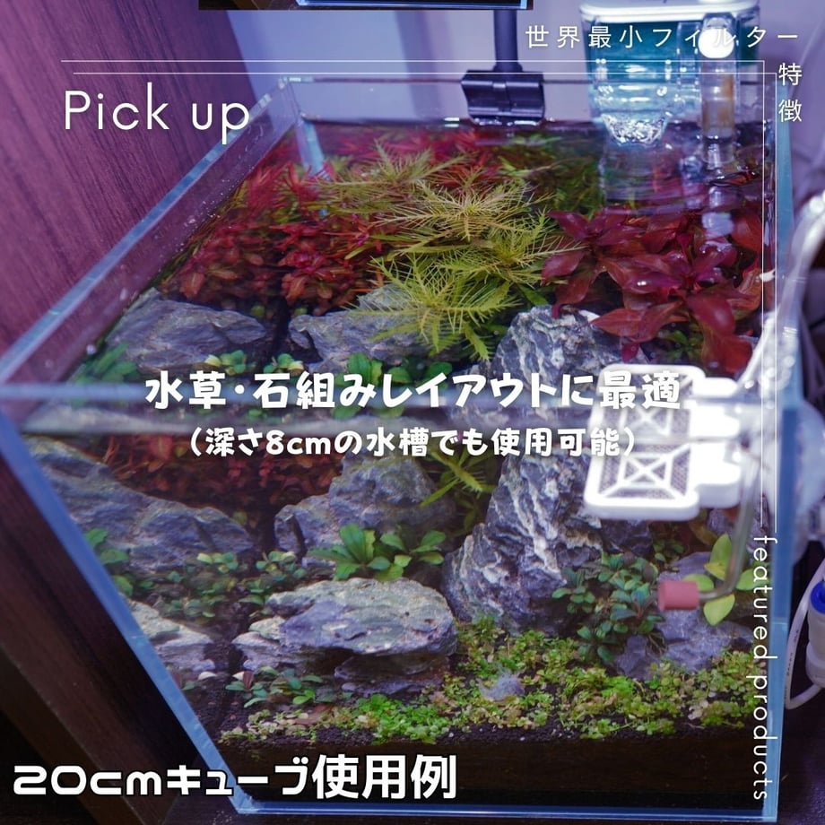 65f67a85e47f10138664ce7b