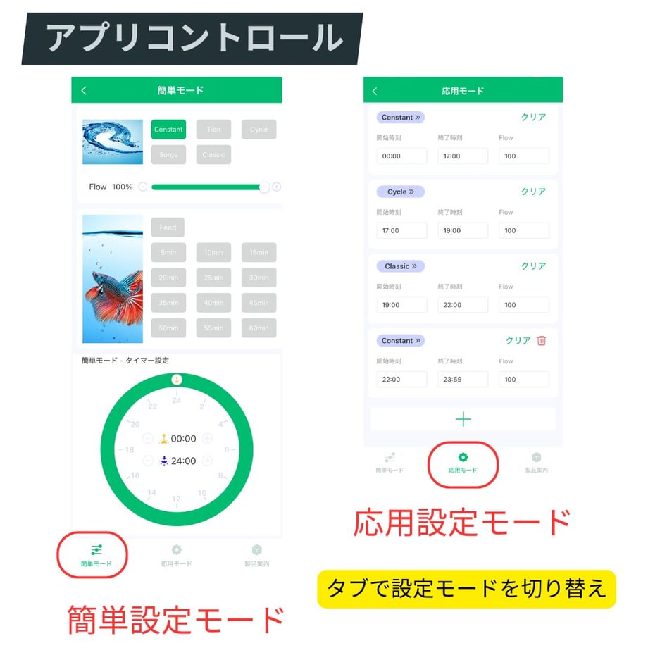 67dc33a72358c63adf395b25