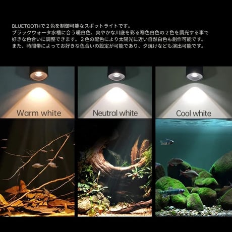 NEW AQUA FLARE MINI 7-F SPOT（小型水槽用）