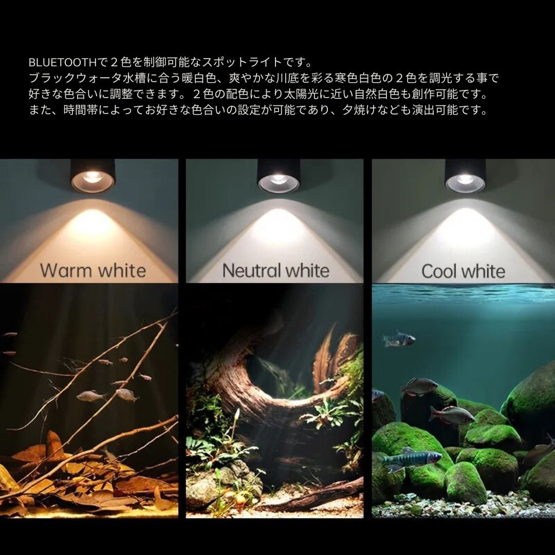 NEW AQUA FLARE MINI 7-F SPOT　2個セット fit=scale-down,w=1200