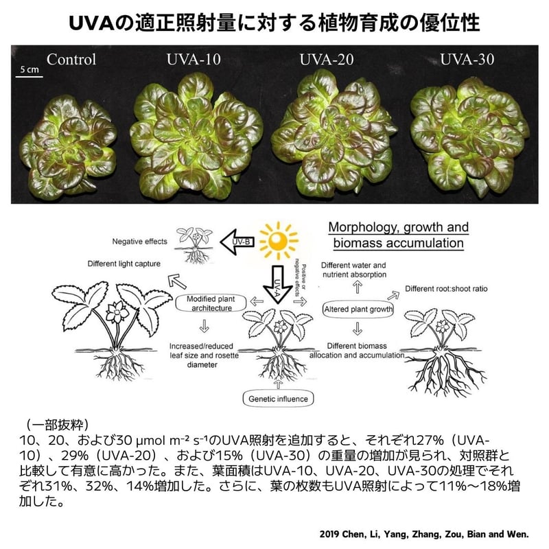 NEW AQUA FLARE UVA T90 RGB SE | アクアリウム LEDライト専門 NEW AQUA FLARE UVA T90 RGB SE | アクアリウム LEDライト専門