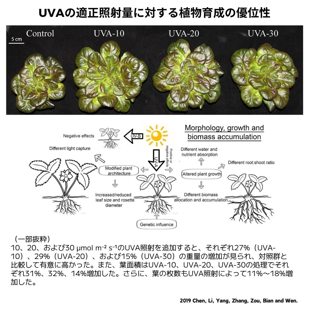 NEW AQUA FLARE UVA T90 RGB SE | アクアリウム LEDライト専門 NEW AQUA FLARE UVA T90 RGB SE | アクアリウム LEDライト専門
